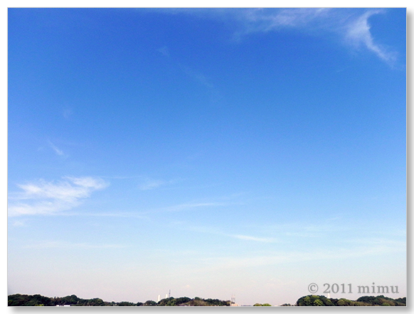 2011.5.14 空