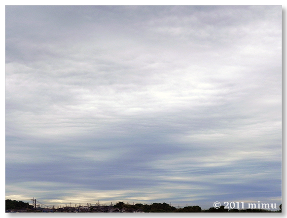 2011.5.22 空