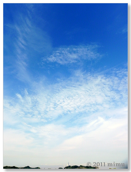2011.5.26 空