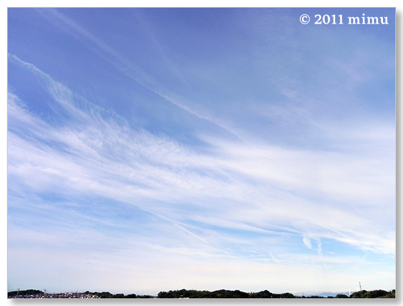 2011.5.31 空