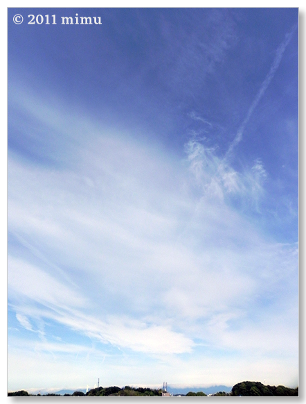 2011.5.31 空