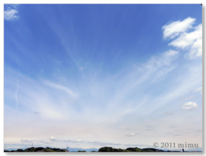 2011.5.31 空