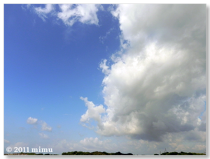 2011.7.5 空