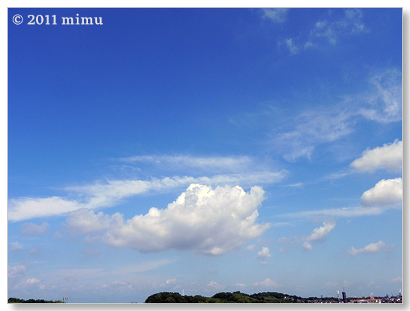 2011.7.5 空