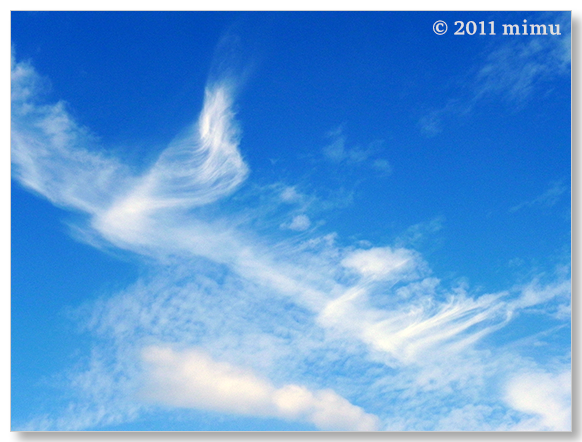 2011.8.11 空