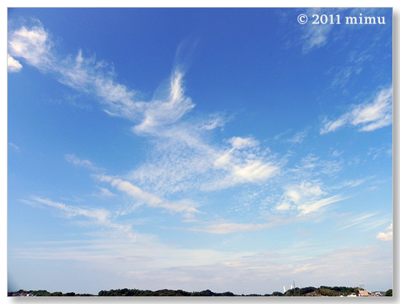 2011.8.11 空