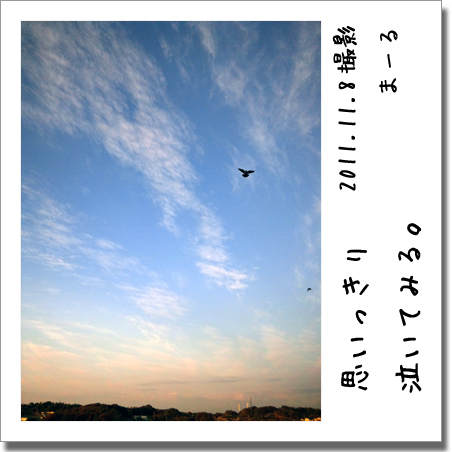 2011.11.8 空