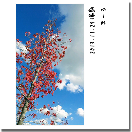 2013.11.29 写真