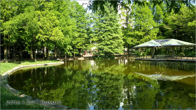 2016.7.20 写真