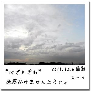 2011.12.6 空