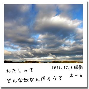 2011.12.9 空